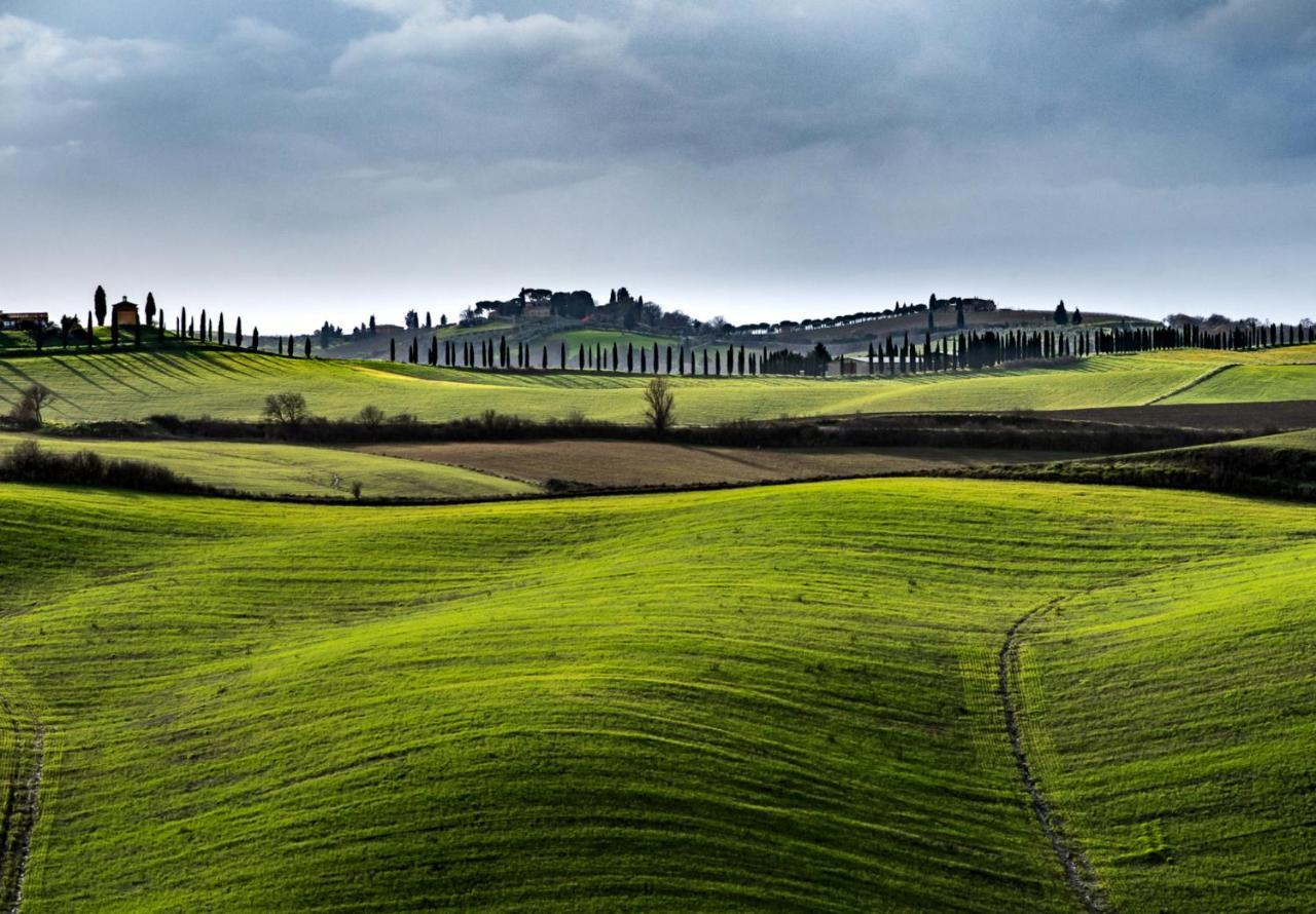 Podere Fossaccio Casa Pino アッシャーノ エクステリア 写真