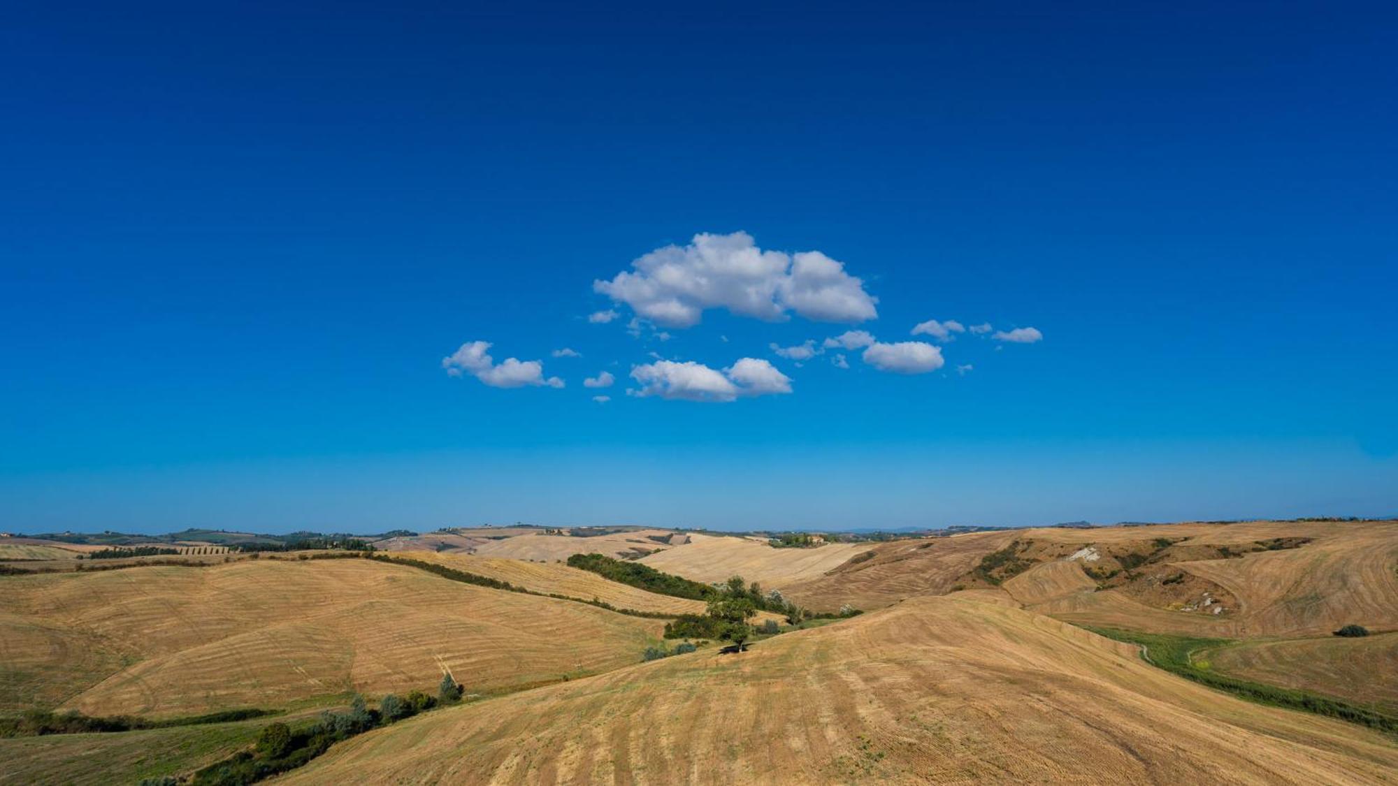 Podere Fossaccio Casa Pino アッシャーノ エクステリア 写真