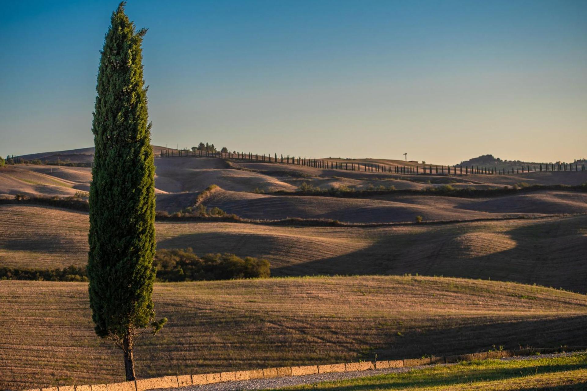 Podere Fossaccio Casa Pino アッシャーノ エクステリア 写真