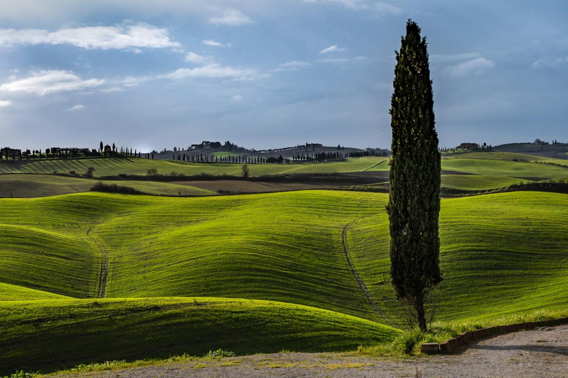 Podere Fossaccio Casa Pino アッシャーノ エクステリア 写真